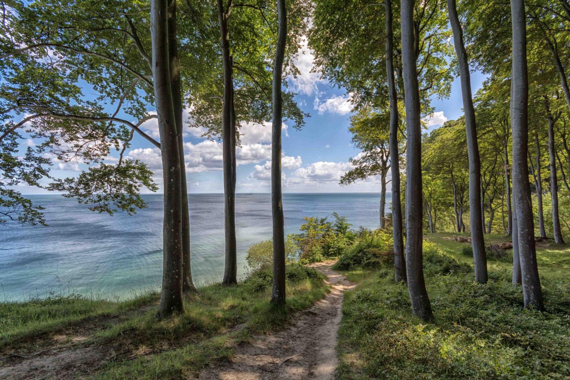 Villa Fernsicht - Wohnung Nr 1 - Mit Meerblick Sassnitz Extérieur photo